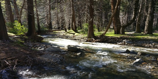 Yosemite